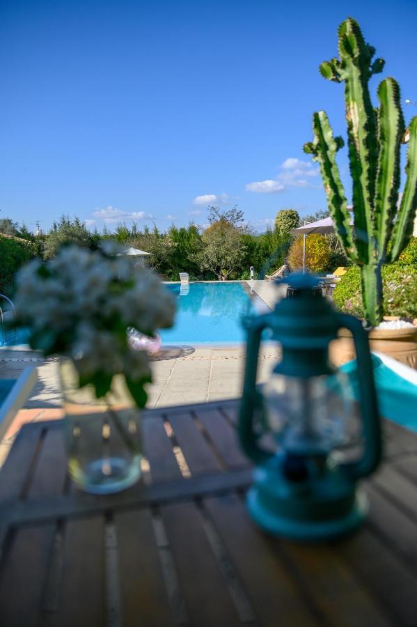 Le Mas De La Source Bed & Breakfast Mougins Ngoại thất bức ảnh