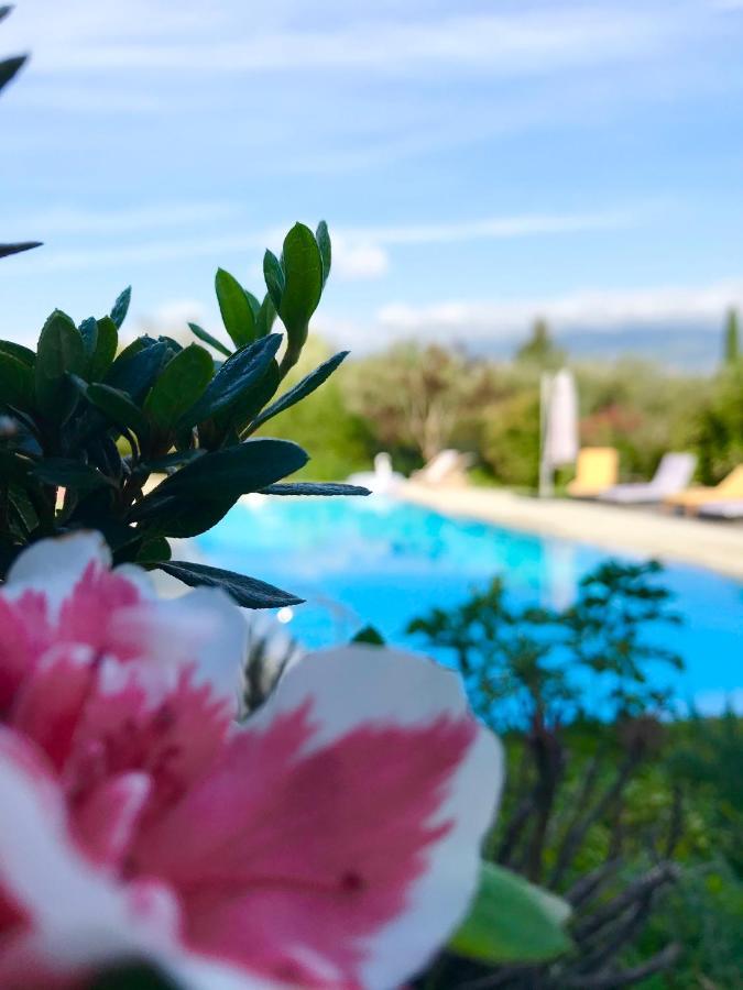 Le Mas De La Source Bed & Breakfast Mougins Ngoại thất bức ảnh