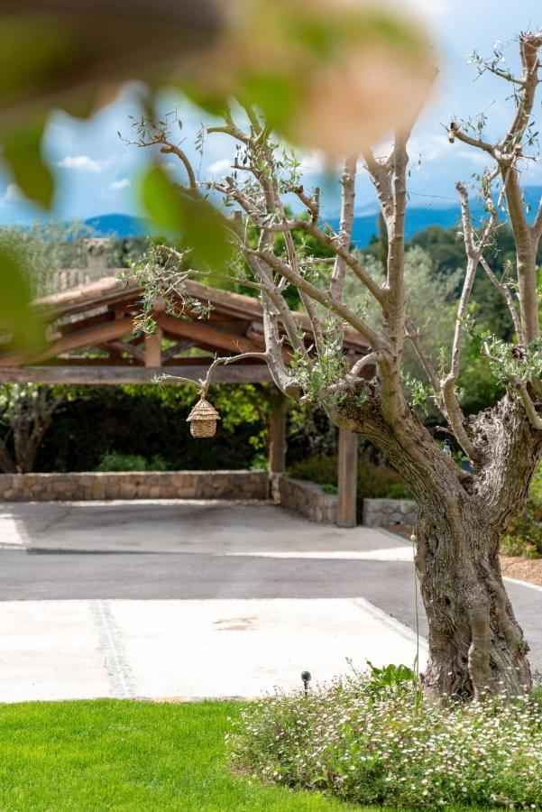 Le Mas De La Source Bed & Breakfast Mougins Ngoại thất bức ảnh