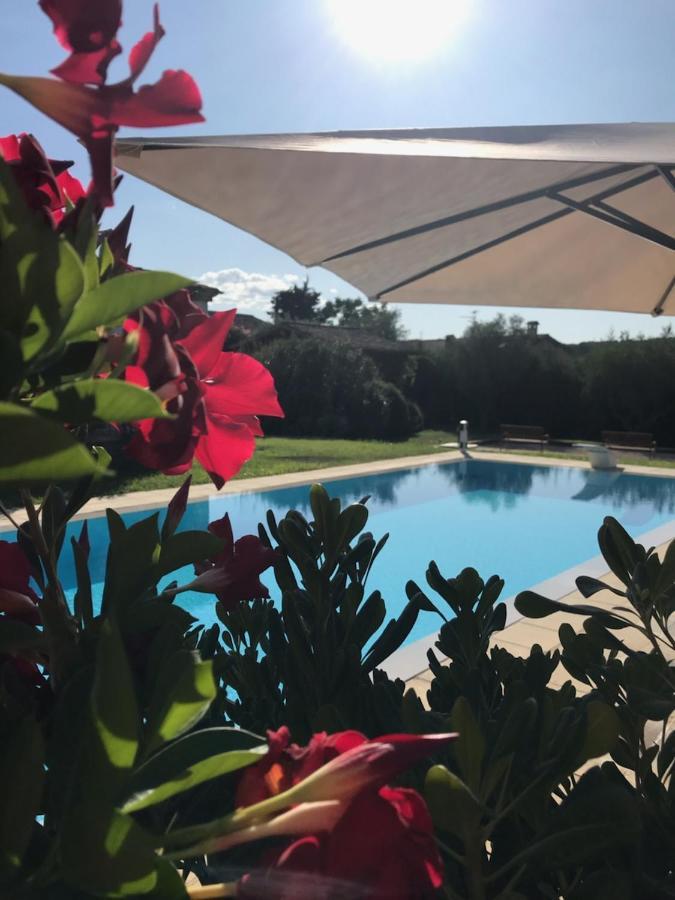 Le Mas De La Source Bed & Breakfast Mougins Ngoại thất bức ảnh