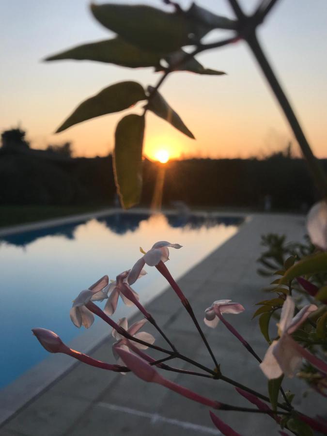 Le Mas De La Source Bed & Breakfast Mougins Ngoại thất bức ảnh